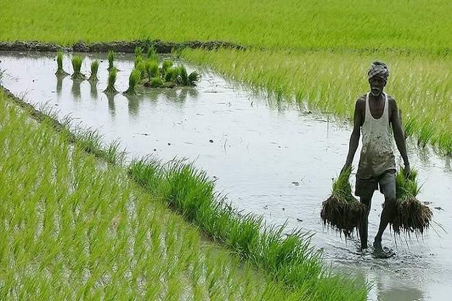 farmers