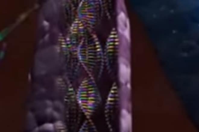 dna profiles, dna data banks, government dna banks