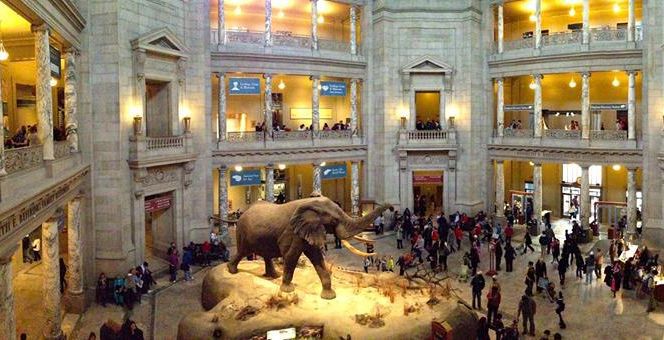 Museum