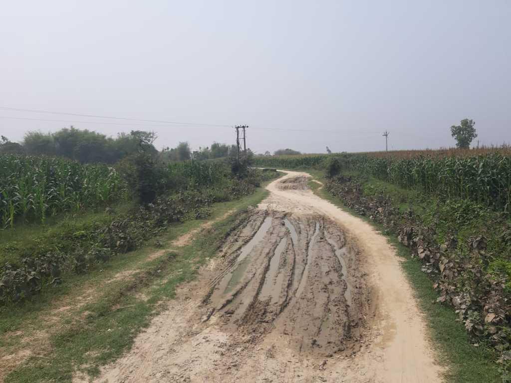 Pakistan Tola