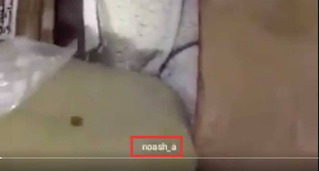 baby smuggled in a bag, 